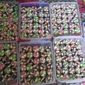 Cooksnap dari Dapur Kecil Shofiyyah untuk resep Bolu kukus mekar 1 telur tanpa soda (in syaa Allah anti gagal)
