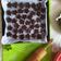 Cooksnap dari Valenchea Chan untuk resep 4 Ingredients Choco Cookies