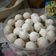 Cooksnap dari E C H A untuk resep Putri Salju Keju,,,,lumer tapi kokoh