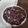 Cooksnap dari Lely untuk resep Bubur Ketan Hitam Magic Com