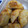 El cooksnap de Carina cuando hizo Masa para empanadas al horno.