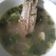 Cooksnap dari Niastika MEyvie untuk resep Sop Daging Kambing Kuah Bening #kitaberbagi