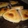 El cooksnap de Cceveltm Dtm cuando hizo Dobladitas caseras.