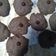 Cooksnap dari WiJiie Rahayu untuk resep Chocolate chips cookies ala goodtime 