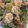 รูป Cooksnap ของ Sara Naris เมื่อเขาทำ วุ้นเส้นผัดสามเหม็น