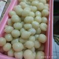 Cooksnap dari Bunda Rika Chayank Arka untuk resep Pentol Cilok Tahu Cilok Anti Gagal Empuk Sampe Besok 😙😍