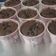 Cooksnap dari Stella untuk resep Cupcake coklat super moist