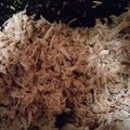 betsy.hudson's cooksnap of when they made Carolina Barbecued Pulled Pork.