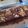 Cooksnap dari Wiji Lestari untuk resep Brownies Panggang dengan Shyni Crust sukses ❤