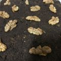 El cooksnap de July.E cuando hizo Brownie húmedo con dátiles.