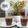 Cooksnap dari Anisa Purwanti untuk resep Wedang Jangkruk