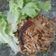 รูป Cooksnap ของ Tunarap เมื่อเขาทำ ตำขนุน