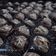 Cooksnap dari Asmailham Karimah untuk resep Brownies Kering