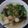 Cooksnap dari kadarmaning untuk resep Bakso Aci kuah pedas