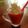 Renáta Bacsóné Szabó Cooksnap-ja, amikor elkészítette a(z) Banános-málnás smoothie receptet.