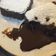 Cooksnap dari dee untuk resep Choco lava cake