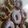 Bhavisha Manvar 's cooksnap of when they made ડોનટ (donuts recipe in gujarati).