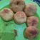 Cooksnap dari mama iyey untuk resep Donat metode autolisis. Tanpa capek ngulen
