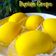 Cooksnap Q'leenalee's Kitchen semasa beliau membuat Durian Crepe.