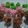 Cooksnap dari Tina Yuni Astanti untuk resep Kue Mangkok (Metode All in One)