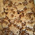 pillangooo Cooksnap-ja, amikor elkészítette a(z) Brownie receptet.