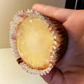 yvonnehill's cooksnap of when they made cheesecake cupcakes.