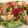 El cooksnap de M.Jose cuando hizo Ensalada mixta con bonito y verduras.