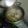 El cooksnap de rene hernan cifuentes cuando hizo Cocimiento de Mariscos 🦐.