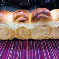 Cooksnap của Lê Hồ khi họ làm theo món Bánh mì gối sữa (sandwich)