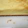 Cooksnap dari Devi Natalia untuk resep Japanese cotton cheesecake