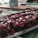 Bencze Diána Cooksnap-ja, amikor elkészítette a(z) Csokis - meggyes gyors süti 🍒🍫 receptet.
