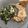 El cooksnap de María Cristina Gatti cuando hizo Ojo de bife con salteado de Kale.