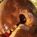 El cooksnap de Verónica Garibaldi cuando hizo Empanadas de Humita (Choclo y Queso).
