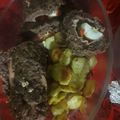 El cooksnap de Vane Pintos cuando hizo Arrollado de carne.