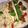 Alyssa Esteves's cooksnap of when they made Healthy and Quick Tilapia Tacos.