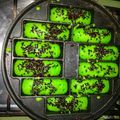 Cooksnap dari Rohma Wati untuk resep Pukis menul empuk yummy
