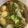 Cooksnap dari ana untuk resep Sayur asam jakarta