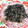 El cooksnap de Rosalía cuando hizo Arroz negro.