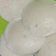 Munira Boot का कुकस्नैप जब उन्होंने इडली (Idli recipe in hindi) बनाया था।