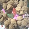 Cooksnap dari Novita Nurmayani untuk resep BOLU KUKUS GULA MERAH SUPER LEMBUT dan ANTI GAGAL
