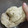 Cooksnap dari Fatimah Az-Zahra untuk resep Kulit samosa(multiguna) homemade step by step