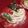 El cooksnap de Mariate cuando hizo Tarta Pavlova | Merengue Francés | @DarixLAB.