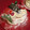 El cooksnap de Mariate cuando hizo Tarta Pavlova | Merengue Francés | @DarixLAB.