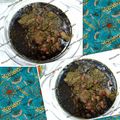 کوک اسنپ Mojdeh بعد از امتحان کردن قرمه سبزی مژده پز.