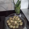 Cooksnap dari Ila untuk resep Cilok empuk walau sudah dingin isi gajih