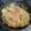 El cooksnap de Elizabeth Bolivar cuando hizo Filete de róbalo en cama de hash brown bañado en mi salsa básica.