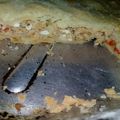 El cooksnap de MARICAR cuando hizo Tarta de atún.