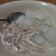 Cooksnap dari Jessica Elsha untuk resep Bubur Sagu Gunting