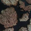 El cooksnap de yazmin cervera cuando hizo Galletas de avena.