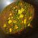Anshi Seth का कुकस्नैप जब उन्होंने मटर पनीर (matar paneer recipe in Hindi) बनाया था।